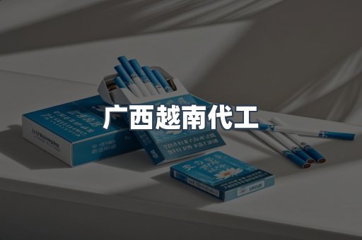 广西越南代工